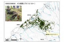ヒグマのGPS首輪を回収しました!~その2~