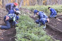 「秋の森づくりボランティア」実施報告