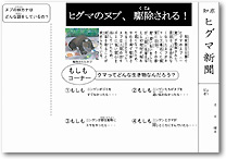 トランクキットプログラム