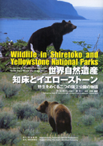 Wildlife in Shiretoko and Yellowstone National Parks