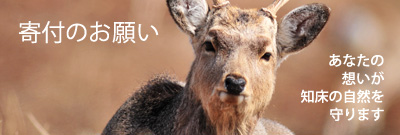 寄付のお願い