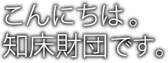 こんにちは。知床財団です。