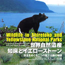 世界自然遺産　知床とイエローストーン