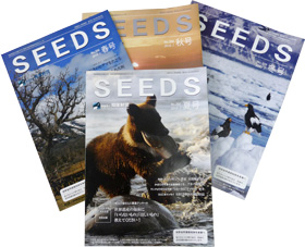 SEEDS