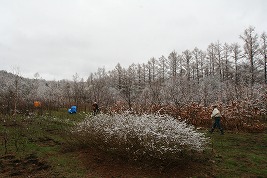 110515naehata.jpg