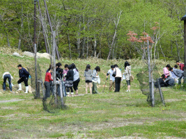 120606izumi.jpg
