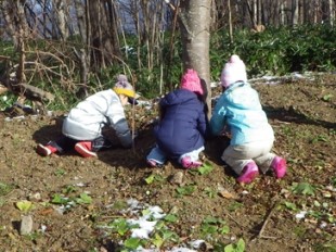 木の根元で虫を探す児童たち