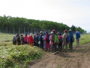 シカ捕獲の大きな柵、これも森づくりの一環です。