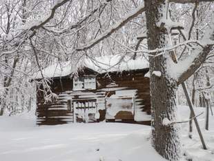 開拓小屋。これからどんどん雪が降り積もり、2月頃には１階部分はすっぽり埋まります。