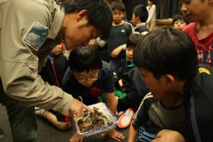 タヌキのフンに興味深々な子どもたち