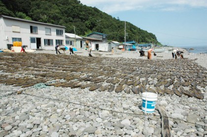 番屋 知床
