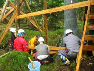 岩尾別河畔林には、大きな岩がたくさんあり、地形に応じて、ひとつずつ進めていきます。