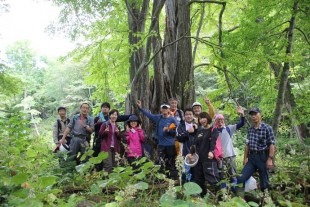 見とれるほど立派な、カツラの大木の前で。