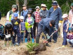 スタッフによる、植樹方法のデモンストレーション。みなさん真剣に見入っていました。