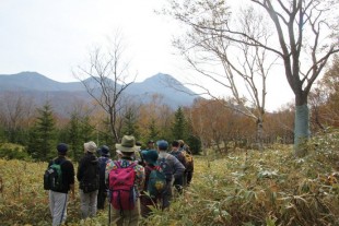 「番人ツアー」秋深まる運動地内をじっくり歩きました。