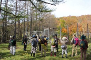 苗畑を見学。今回、植樹する苗も、山採りした後、ここで養生していました。