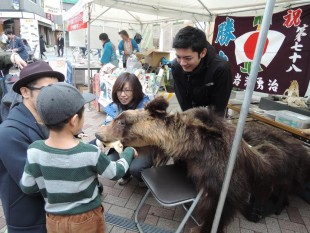 ヒグマの本物の毛皮に恐る恐るさわる子供