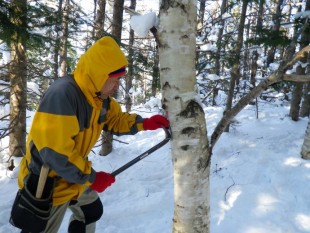 落雪に備えて、フードを被って作業します。