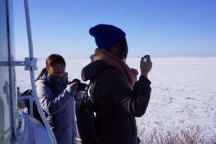 眼下は流氷がみっちりです。