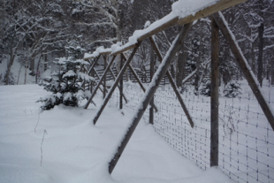 積雪期でもエゾシカが越えられないように柵は3m以上の高さが必要になる