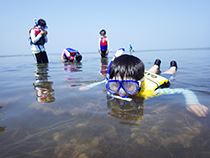 知床自然愛護少年団「夏のデイキャンプ」
