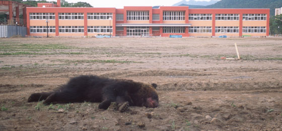 ヒグマと生きるために