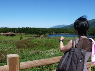 1湖とシカ左奥に湖畔展望台