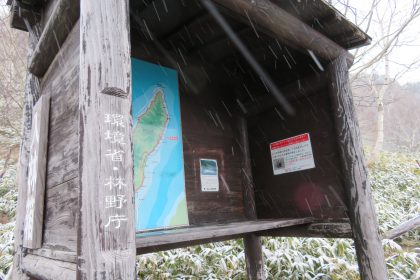 知床岬で利用者がヒグマに追跡される事例
