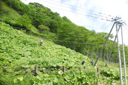 第3回・ヒグマ被害を未然に防ぐために