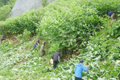 地域の皆様と「クマ活」パートⅡ！