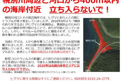 幌別川河口のサケ釣りの現状と経緯