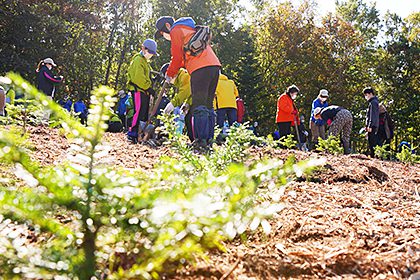 第24回しれとこ森の集い（植樹祭）開催報告