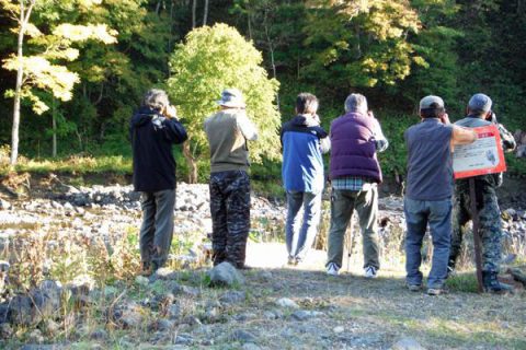 解説1：知床におけるヒグマの目撃状況
