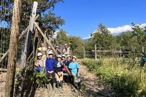 盛夏の森づくりボランティア　活動報告