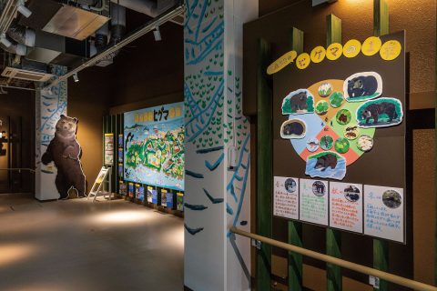 旭山動物園「 えぞひぐま館」展示制作記 ～ヒグマと生きる未来を考える～