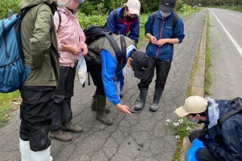 北海道大学獣医学部の野外実習を行いました【2022年】