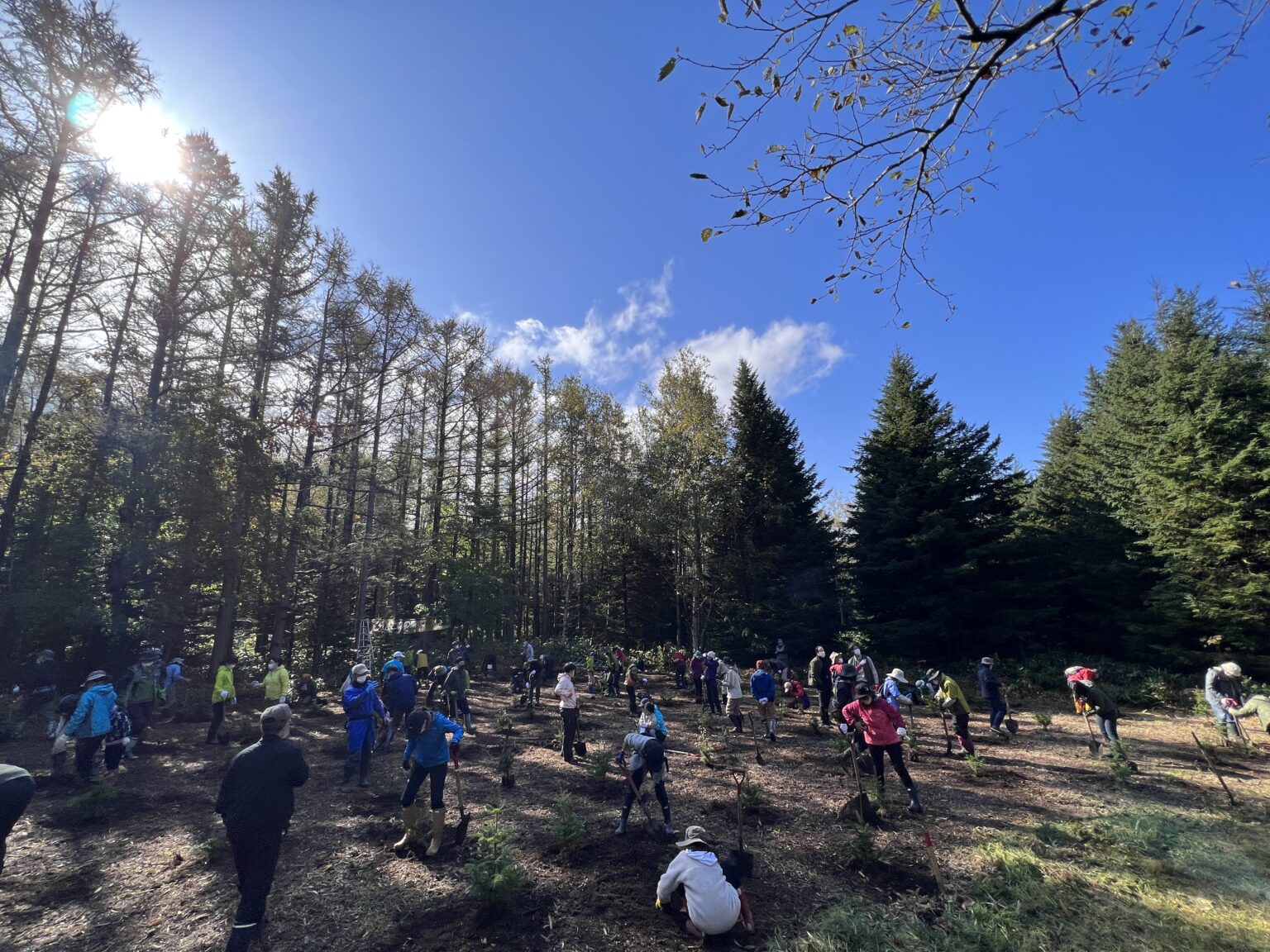 植樹祭(しれとこ森の集い)(活動ブログ)|知床財団|世界自然遺産「知床」にある公益財団法人