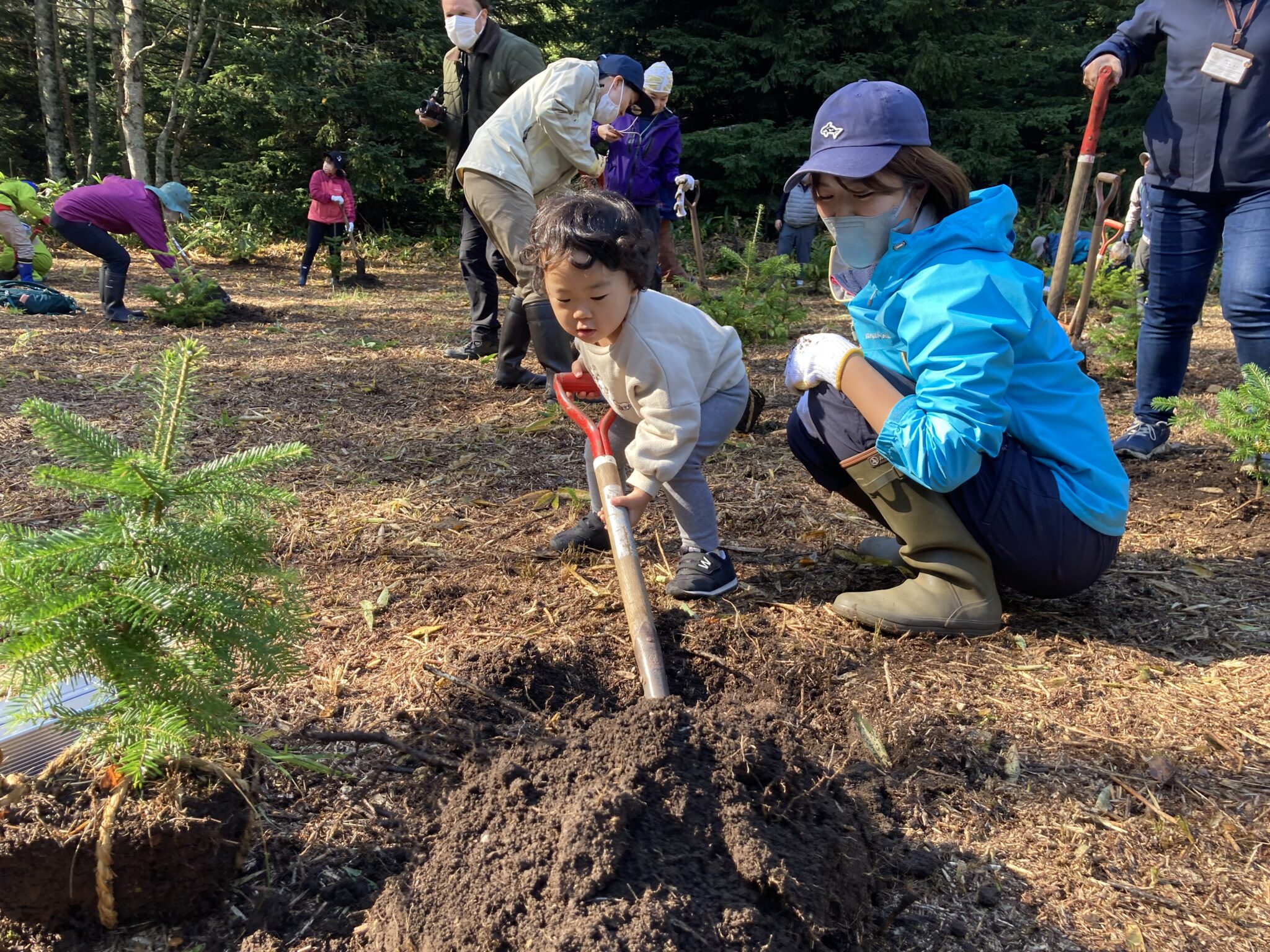 植樹祭(しれとこ森の集い)(活動ブログ)|知床財団|世界自然遺産「知床」にある公益財団法人