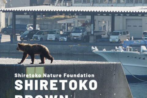 SHIRETOKO BROWN BEAR JOURNAL［発行書籍］