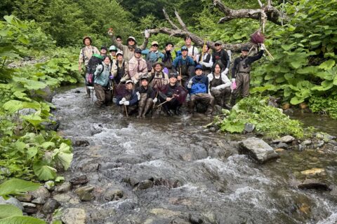 イワウベツ川にて魚類調査（春）を行いました！