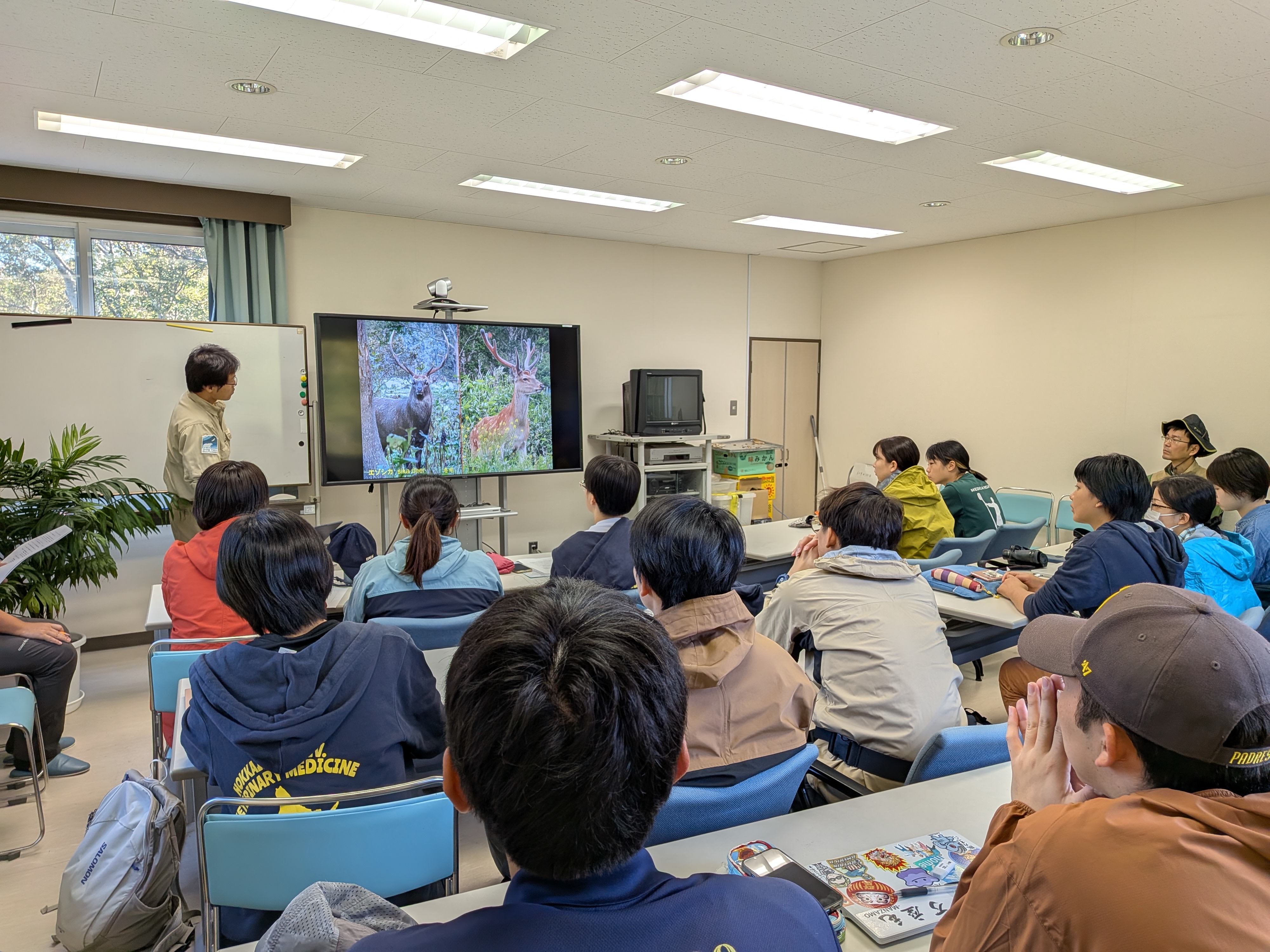 北大まとめ（獣医） 718813380.jpg?1566649898