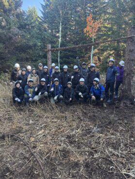 豊かな針広混交林を目指しています！