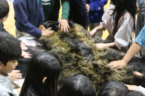 斜里町内３校でクマ授業を行いました