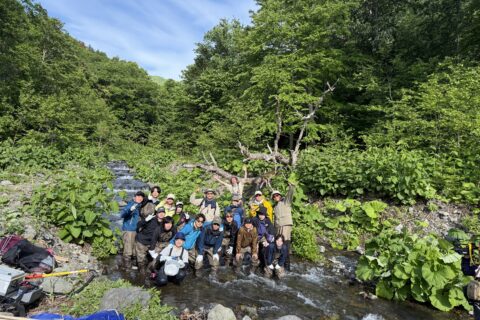 イワウベツ川にて魚類調査（春）を行いました！